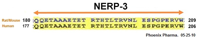 NERP-3 Sequence